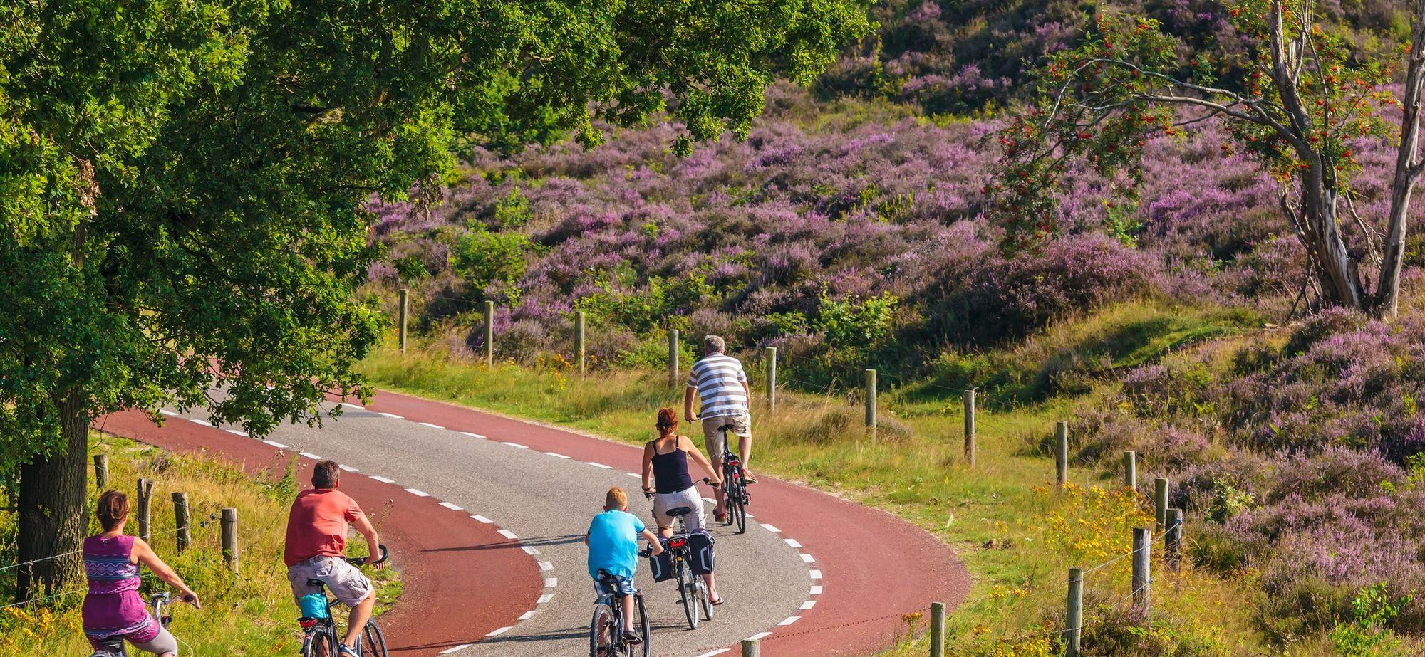 68b04f77136dfaf89d9cb04a_groen-in-en-om-de-stad-Staatsbosbeheer