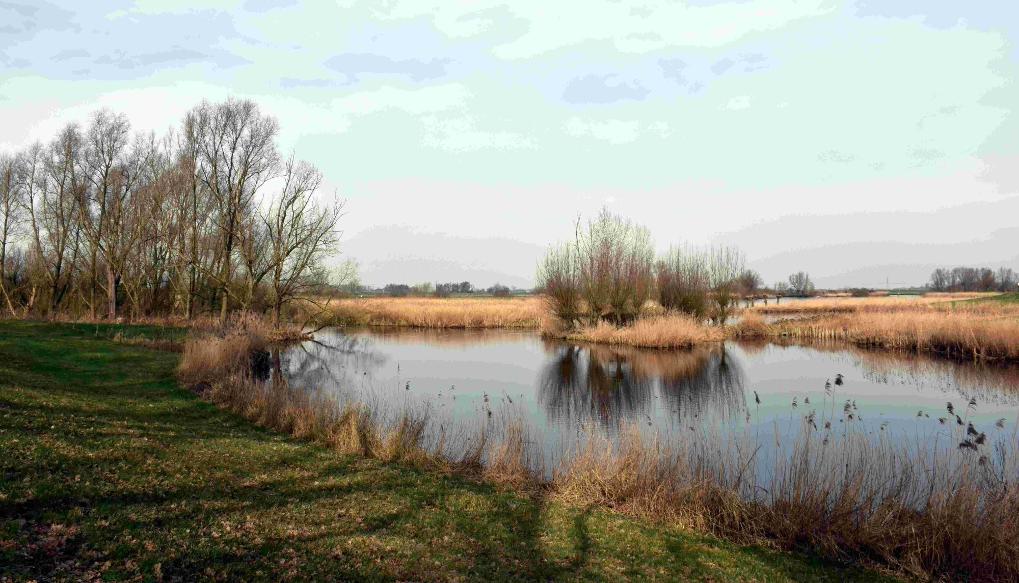 63da52e8c1bc505effc3c676_waterbeheer - watertransitie - water en bodem sturend 2