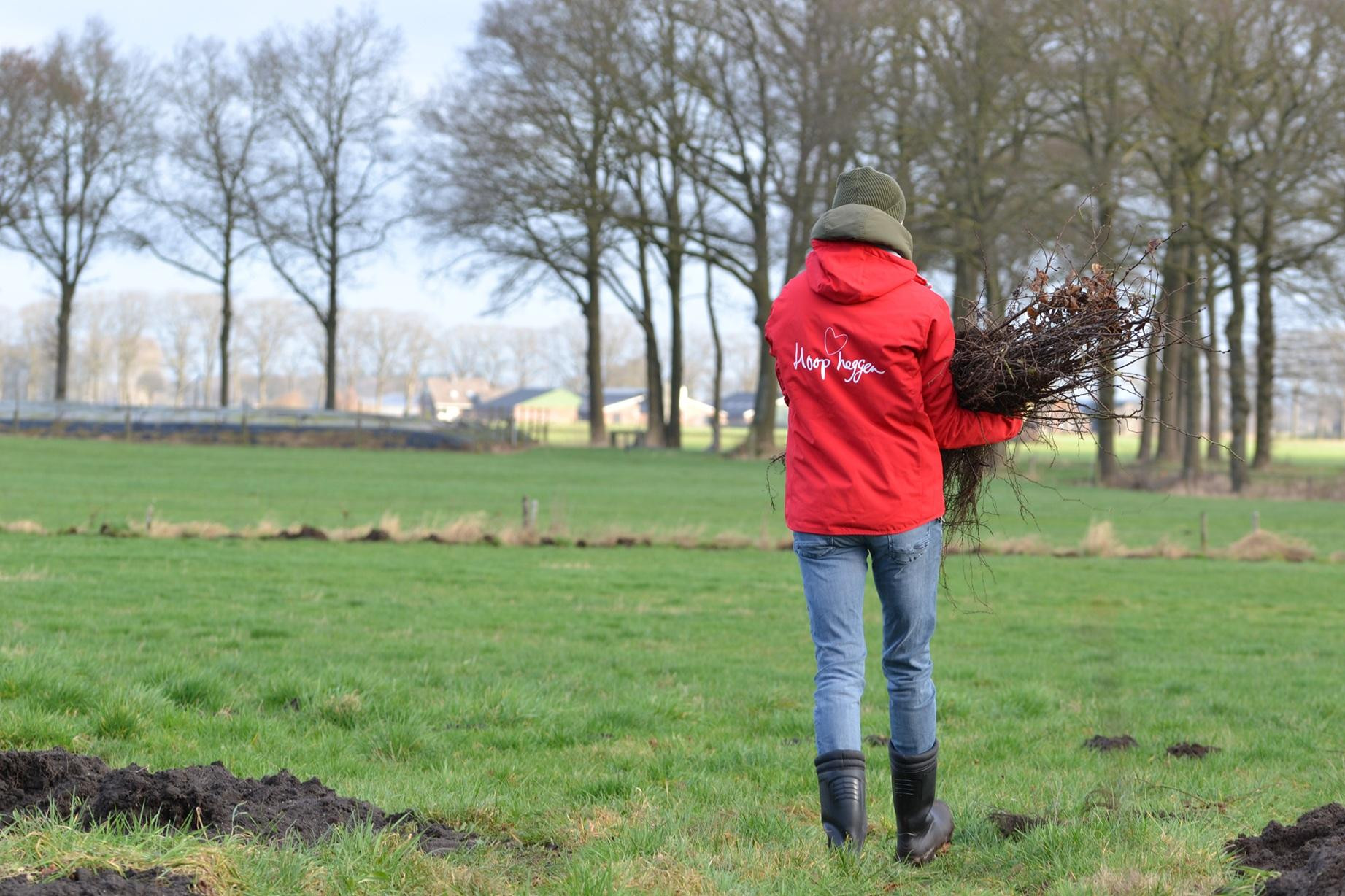 692db3024059190db1e9e710_plantbaas