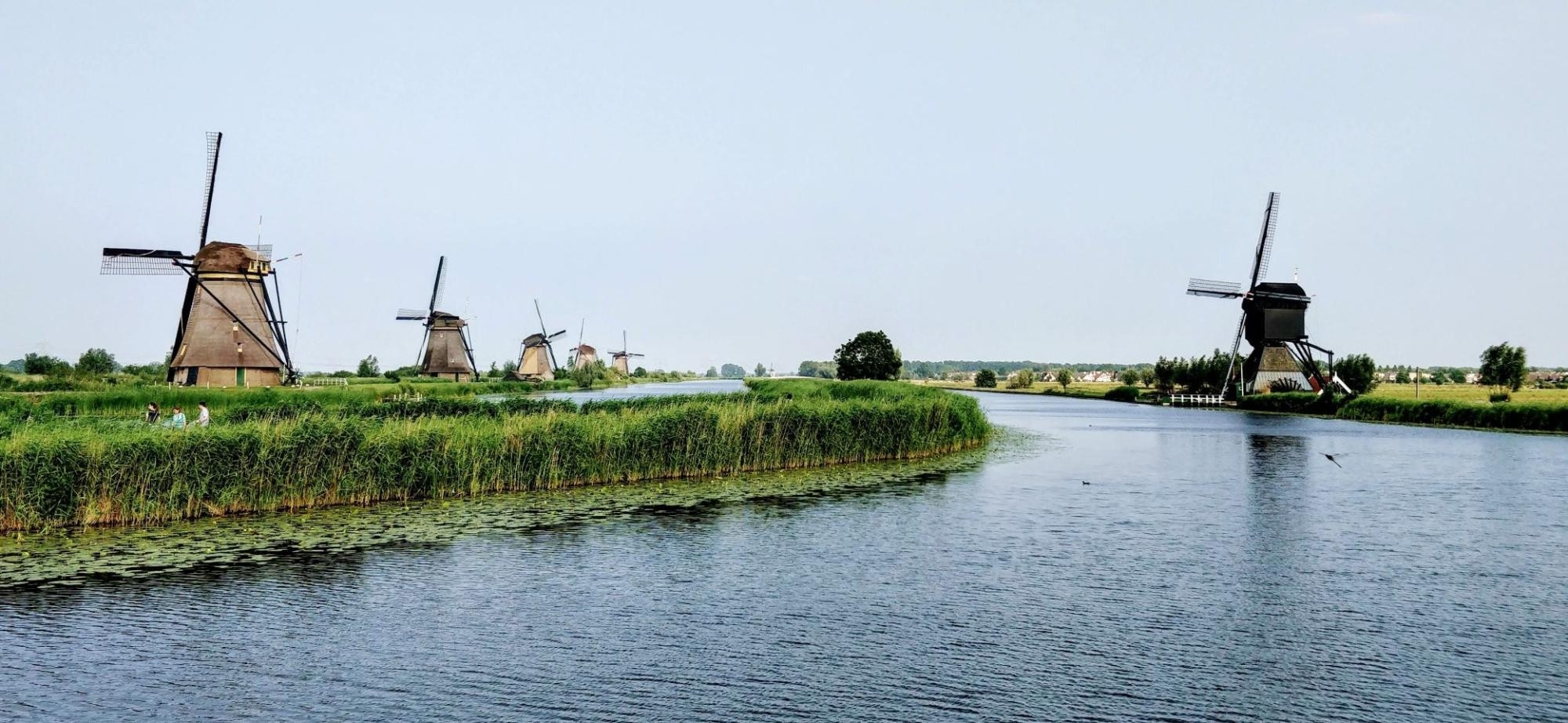 60c9c2fac8c16b690dfbf343_nederland - holland - molens - water - toekomst