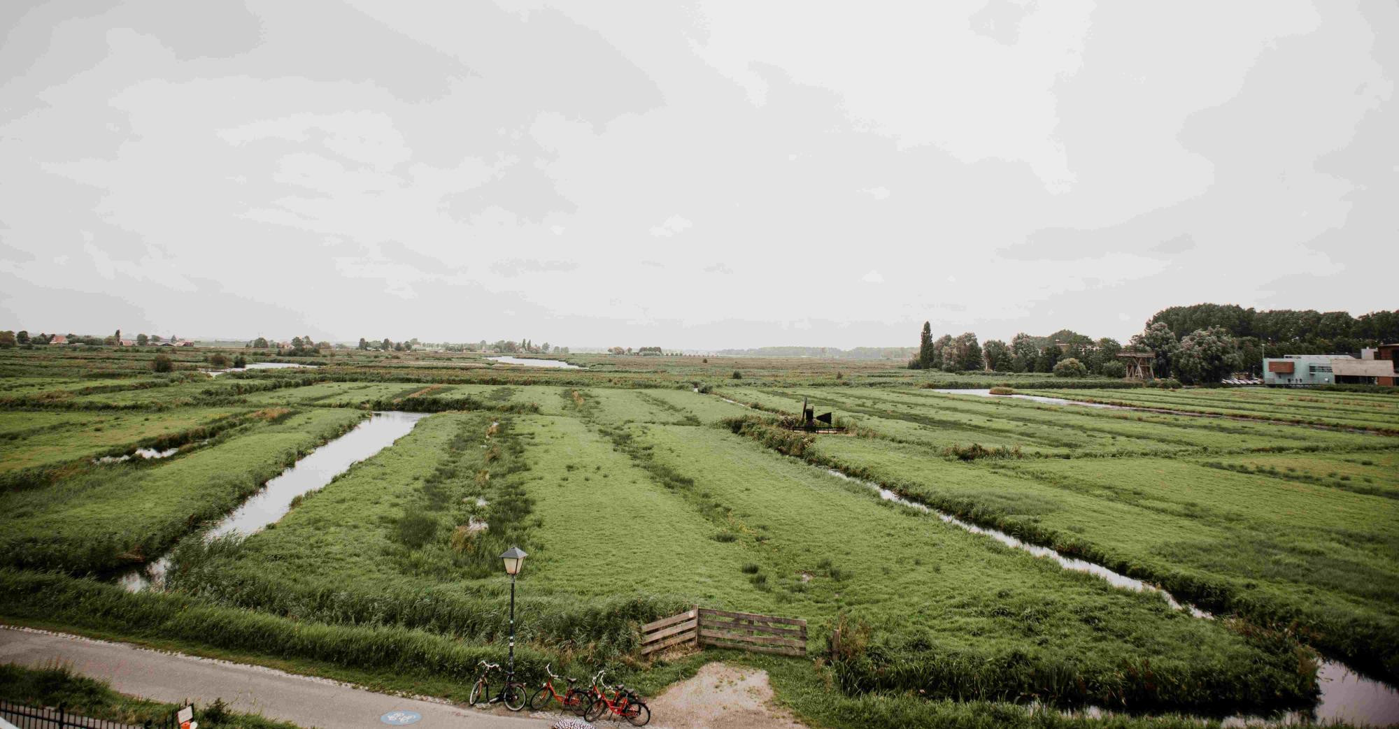 646e24e63ae9029dd606fd03_landelijk gebied - stikstof - bodemdaling - rijnland