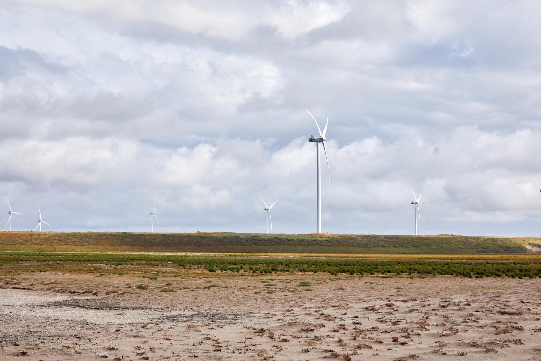 windmills