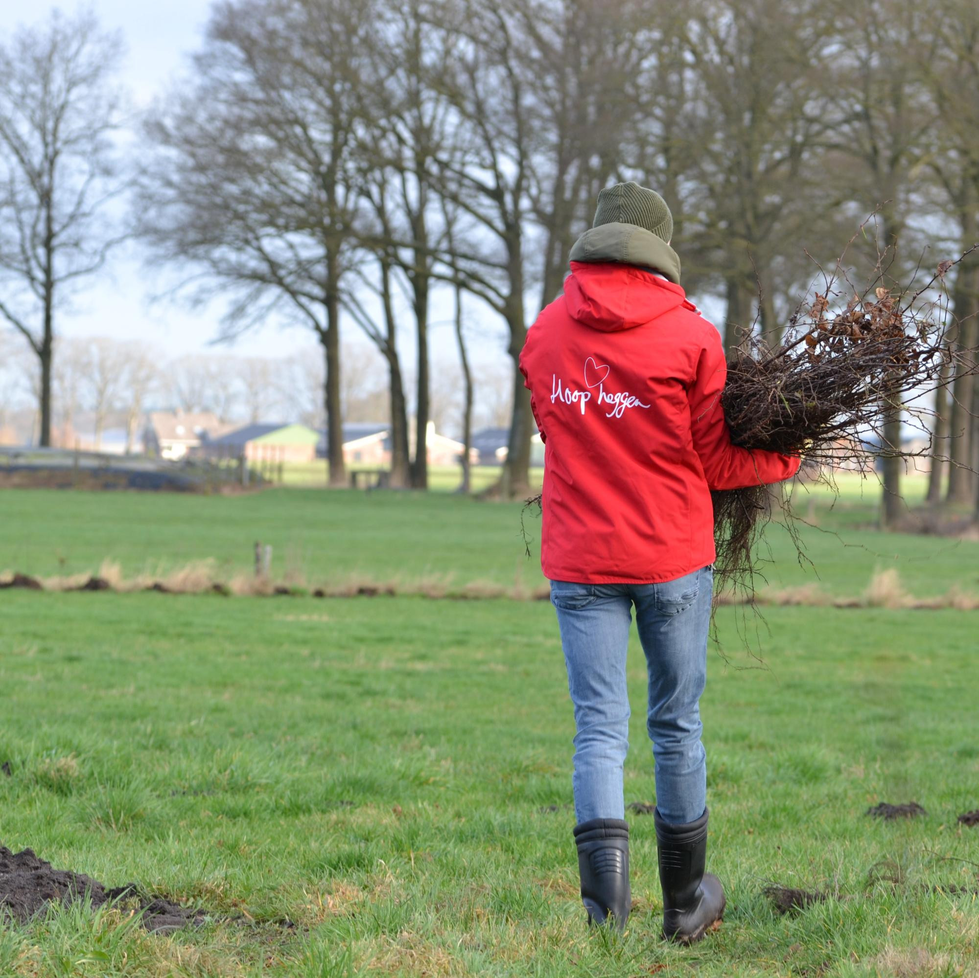 6929c185b66e0427a1627b94_Gabor