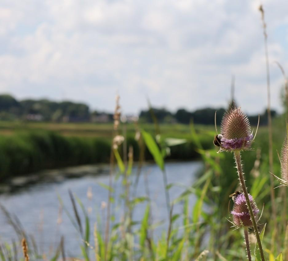 6929c29fcd0daf54ab704a17_Gebiedsproces