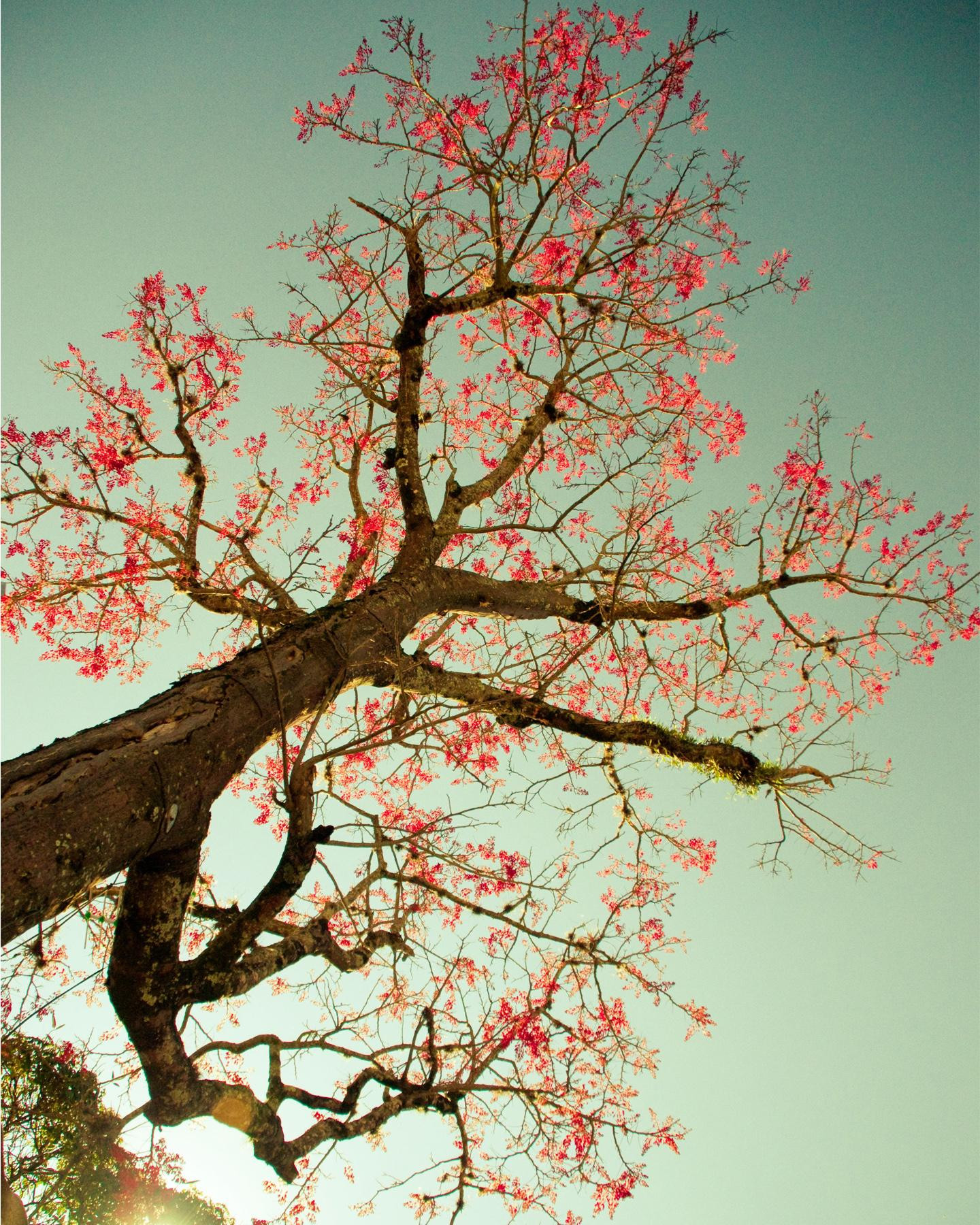 5c24e49d3dfc12371140daff_Profielpagina foto_Nelleke