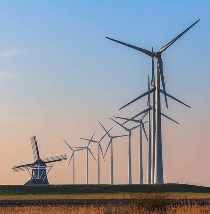 616981ed524eb1c88c99d4a9_Bram Caris 720x 734