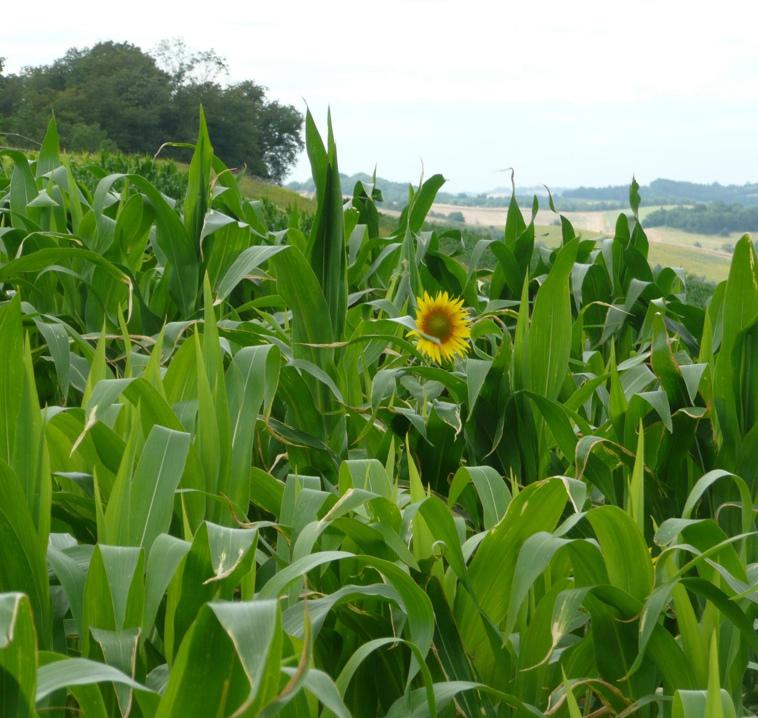 6017bdaf0d171aada8a1b9ad_Bernice den Haan 1521 x1440