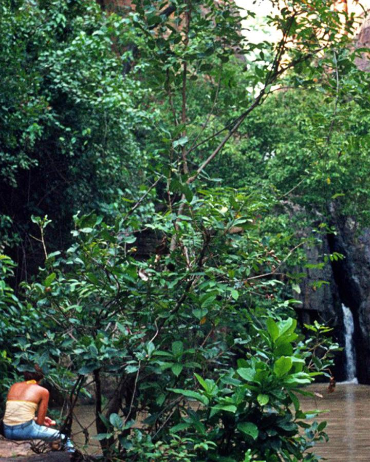 5c177f00ee5c571cab51a471_Profielpagina foto Dafra