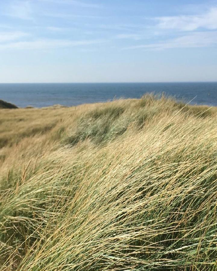 5c7e3e9b2121fc25baed3f66_profielpagina lea