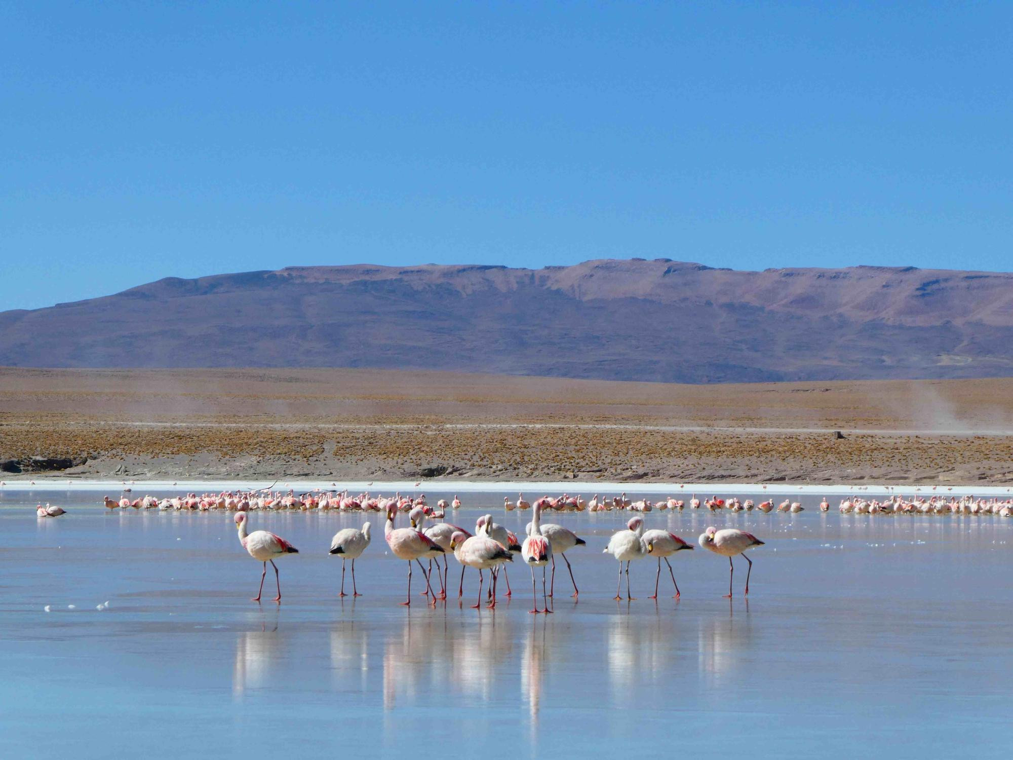 649c3a4fe55a8e803bb08821_achtergrondfoto joost 1