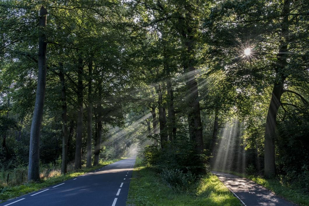 693ade12119a19e55356a319_foto-siewe