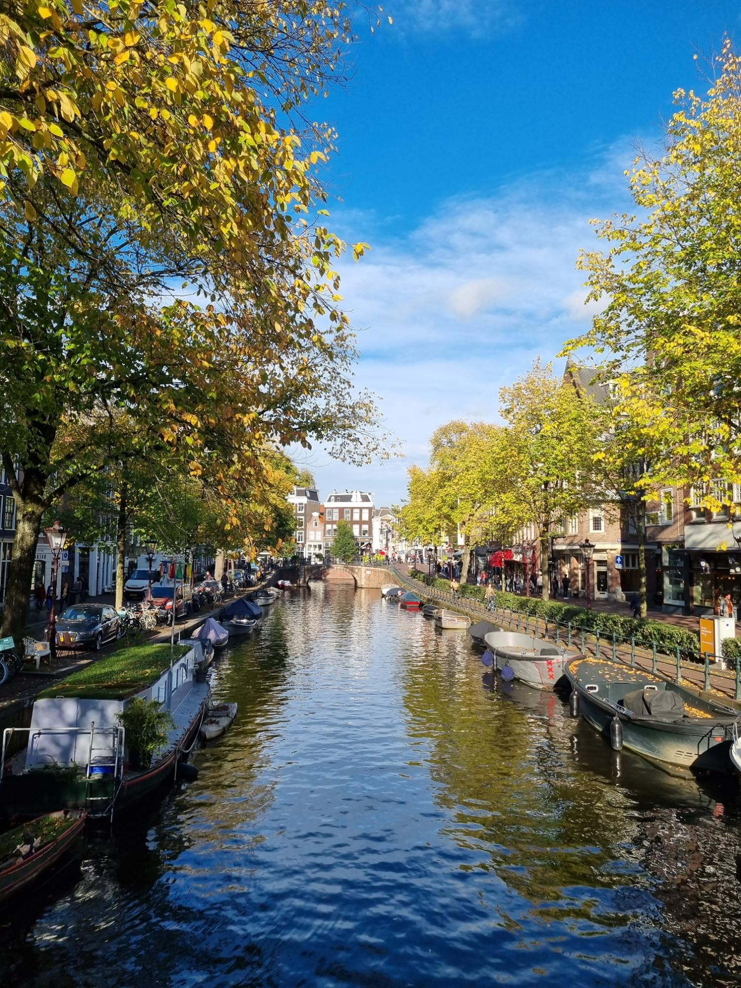 671a2638d69080fccad75ddd_Foto_groot