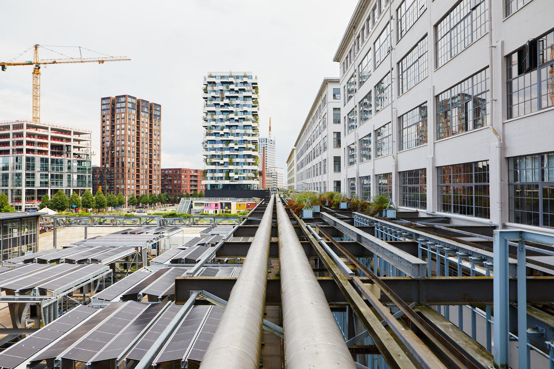 636a4b8097b0b1e366ea6eb7__M8A0352_lowres_Willem_de_Kam