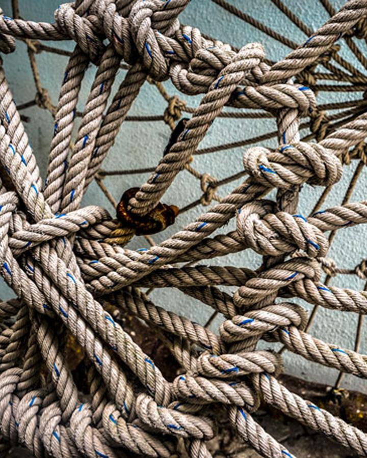 5c7e4bcb21677cb046696db6_profielpagina janneke