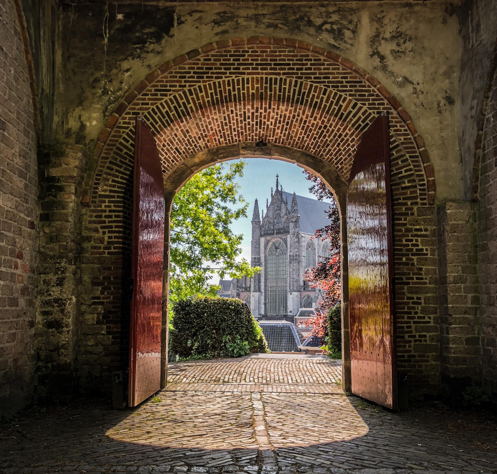 5d9da29183f43390662c5095_CP