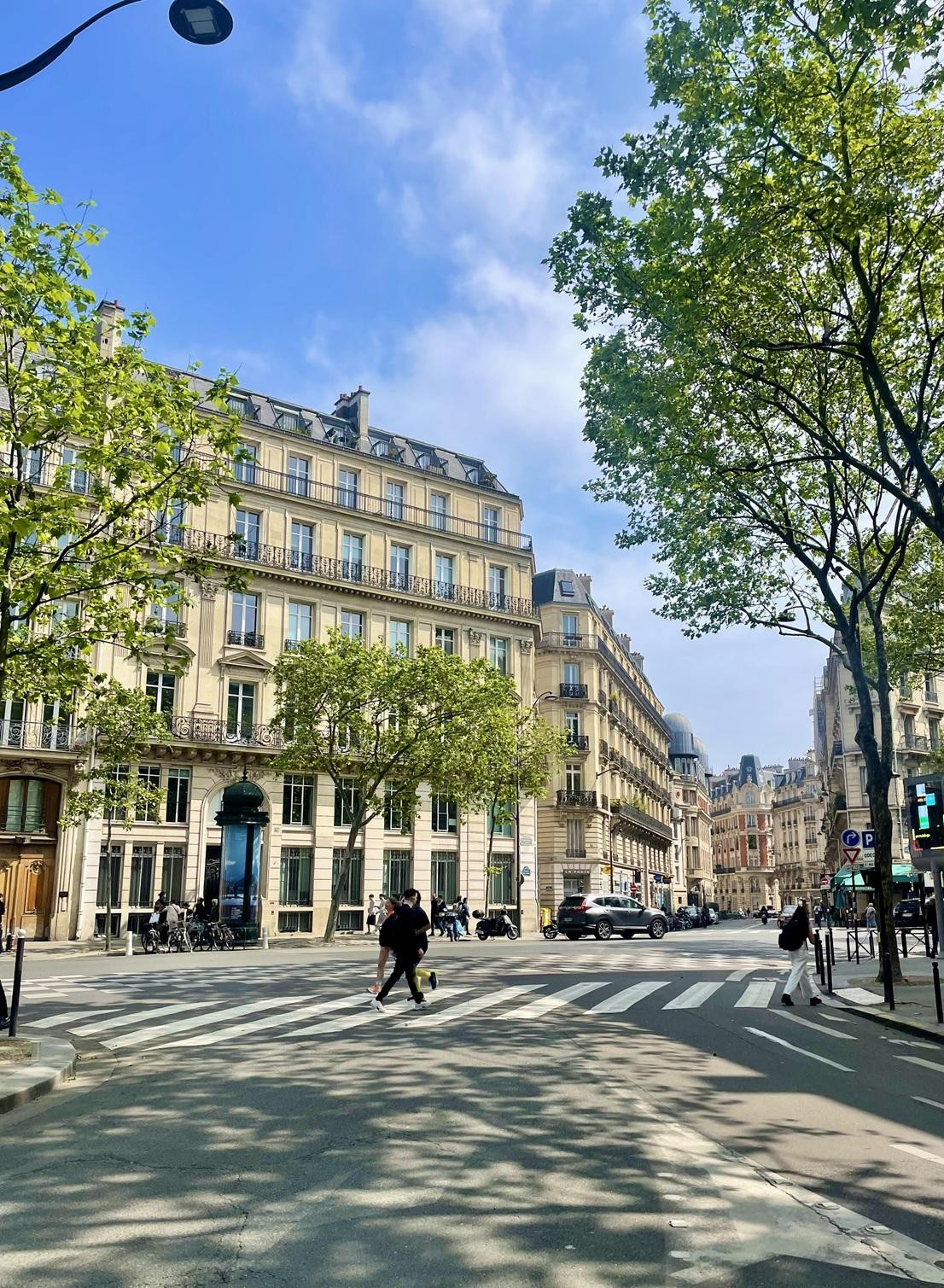 68fb9186abebd6b20eef3431_foto-demi