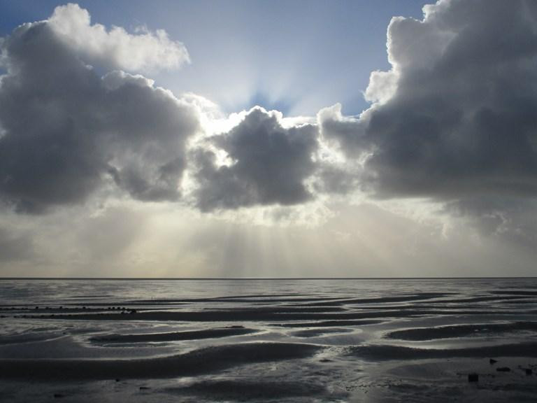 60cc88a114b935fb18ad97dd_Anke van Rietchoten