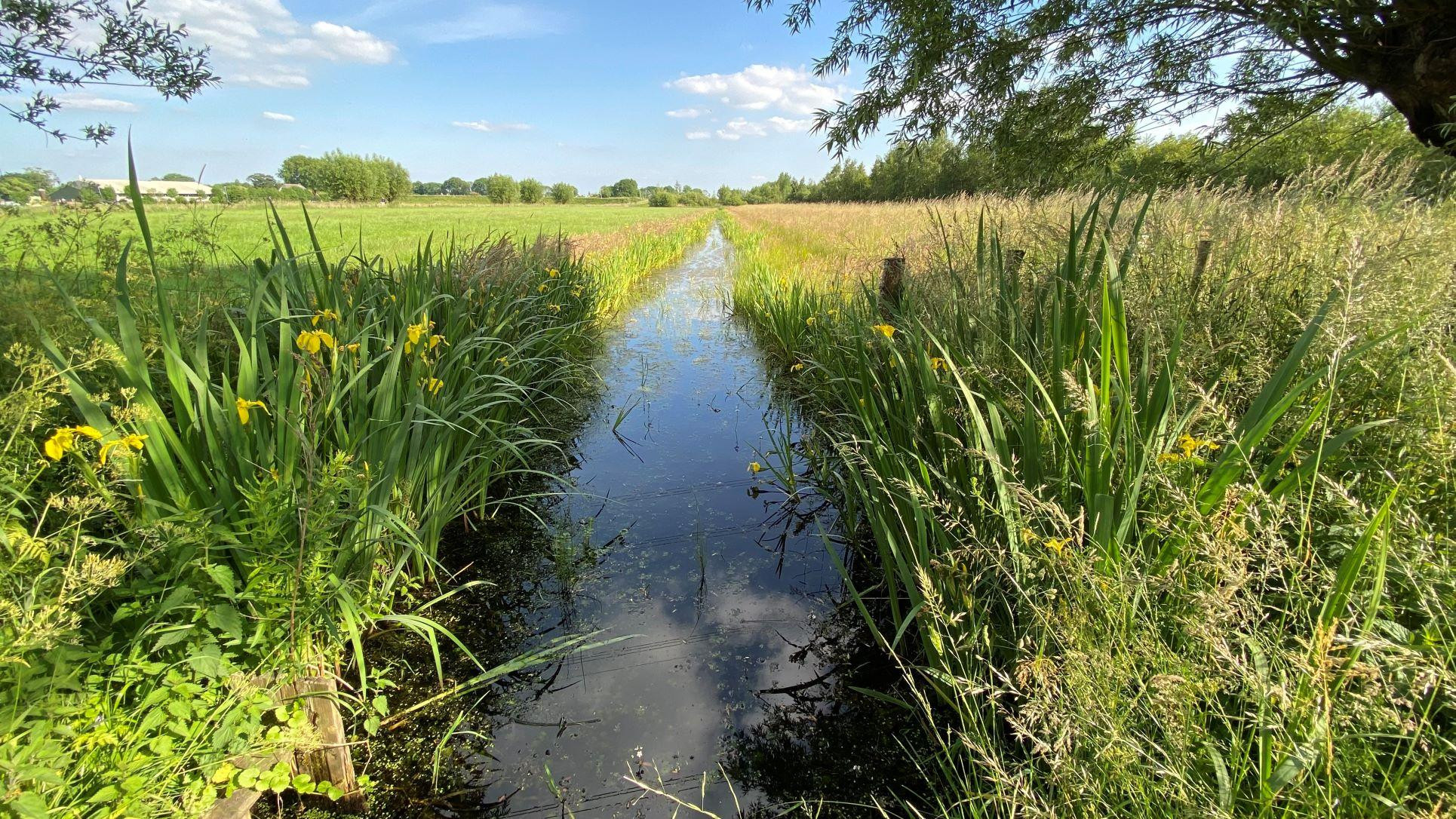 629f0ffd2e74bfd2c37c5c1e_achtergrondfoto josefien 2