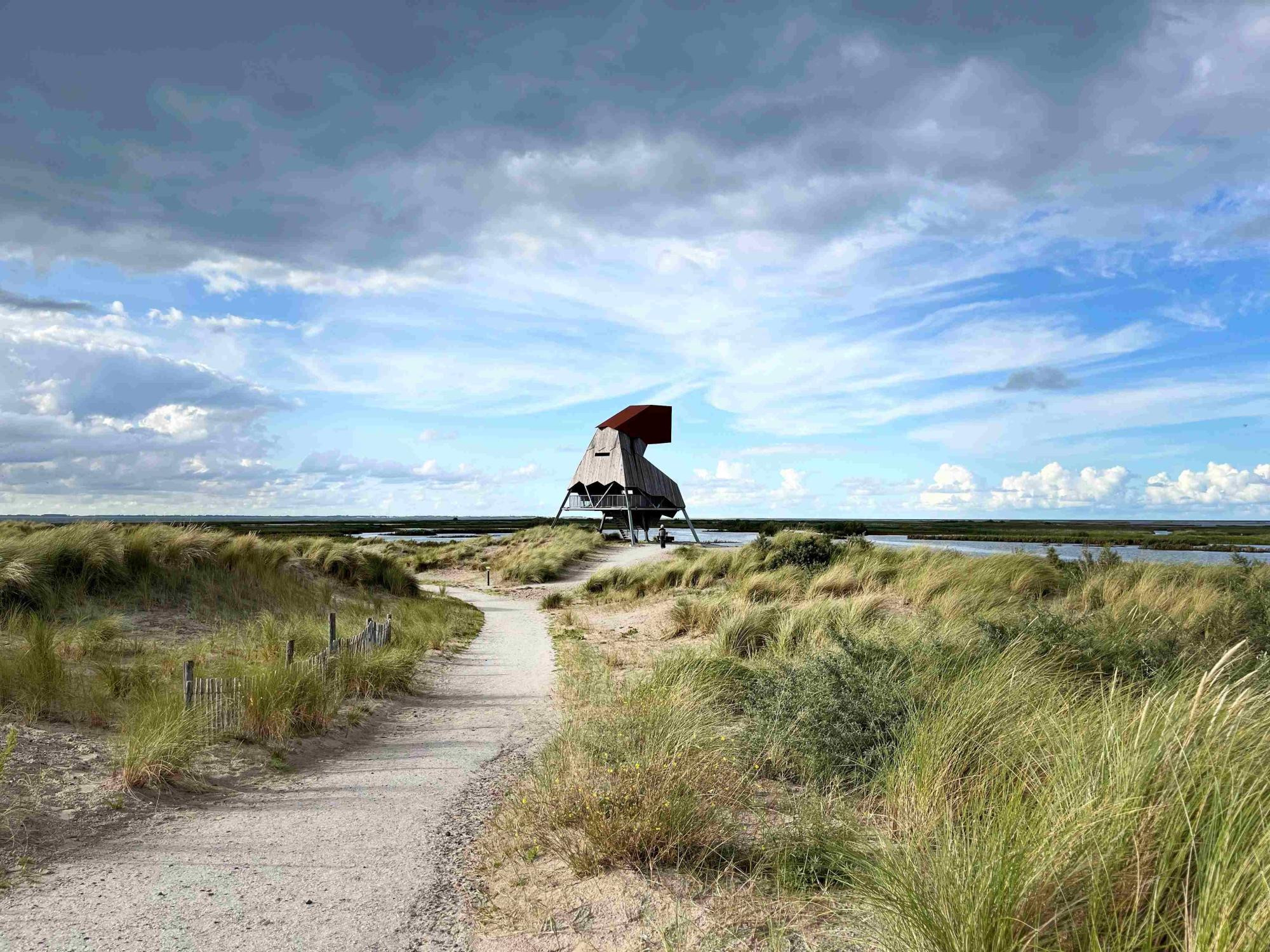 655cc6e42ca2e07f4549ee76_hilke achtergrondfoto2