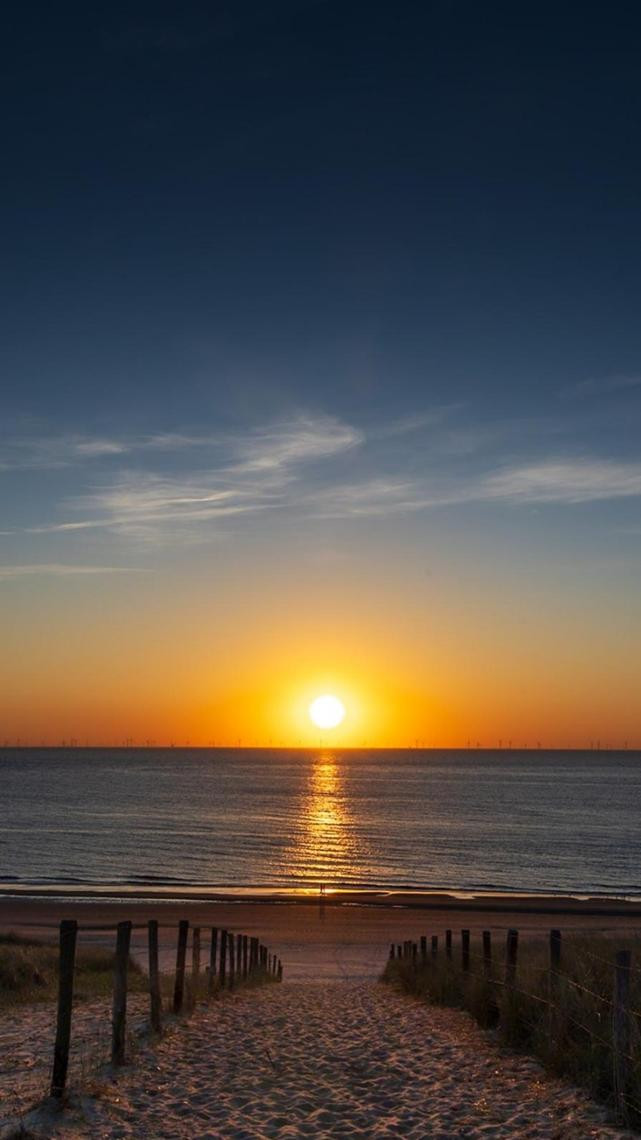 696f552c8e1188d8cd0dc6d5_suzanne-wink-strand