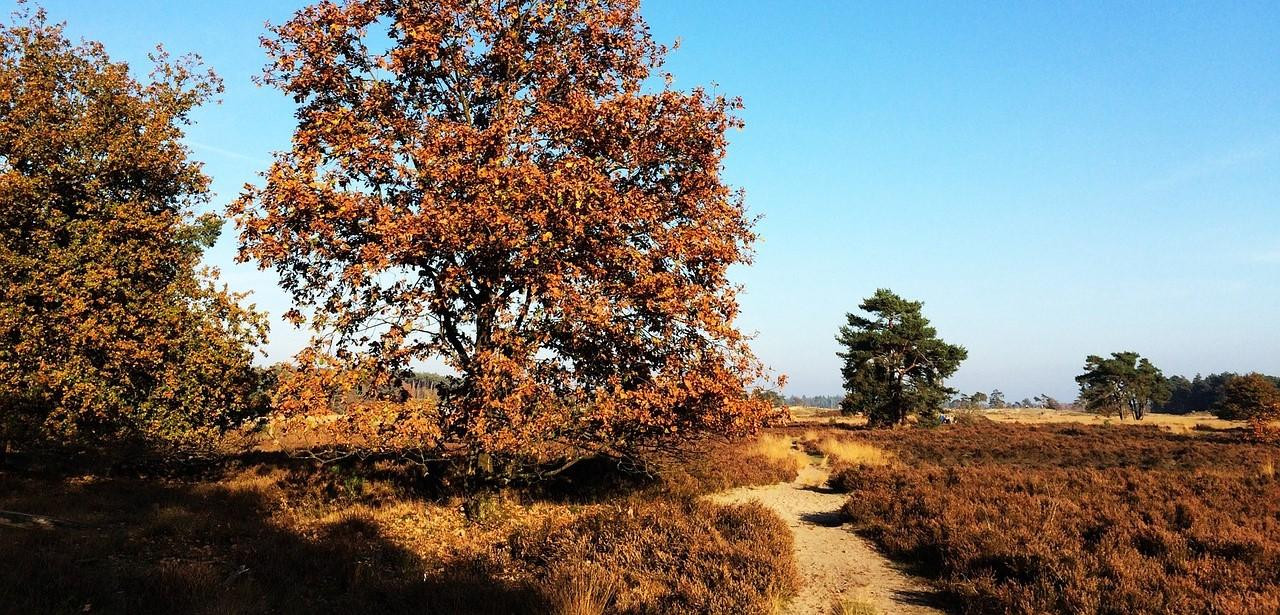 653a57a9ecbe61381d127d42_noord-brabant - gebiedsvisie - stikstof - landelijk gebied