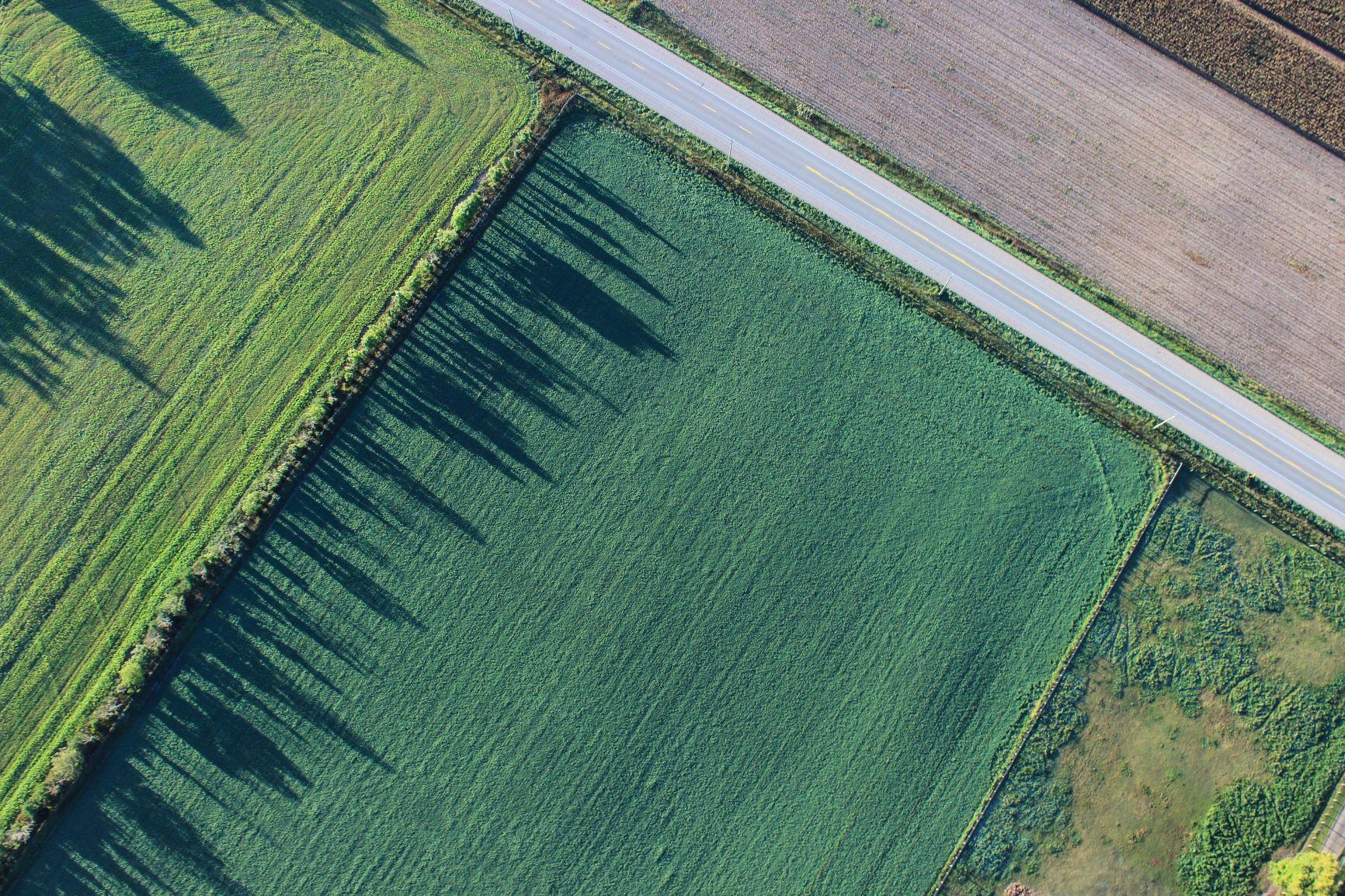 607050feb39a9f5ac32b38b5_stikstof - boerderij - klimaat - stikstofreductie - reductie