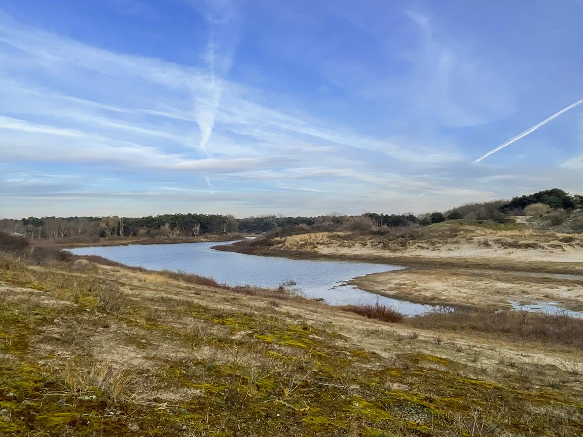 69b9237cc59545da390a6169_duinen-groen-blauw