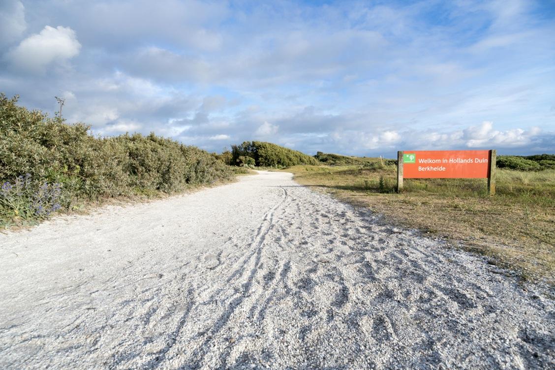 69fdaca2639b6e7c9a89c185_berkheide