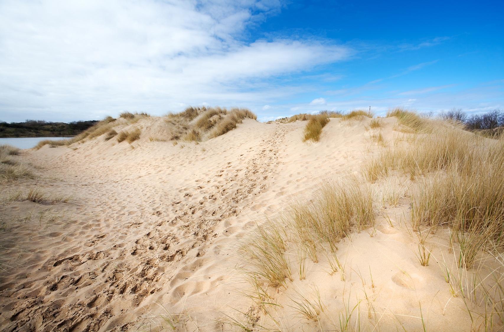 duinen-nh