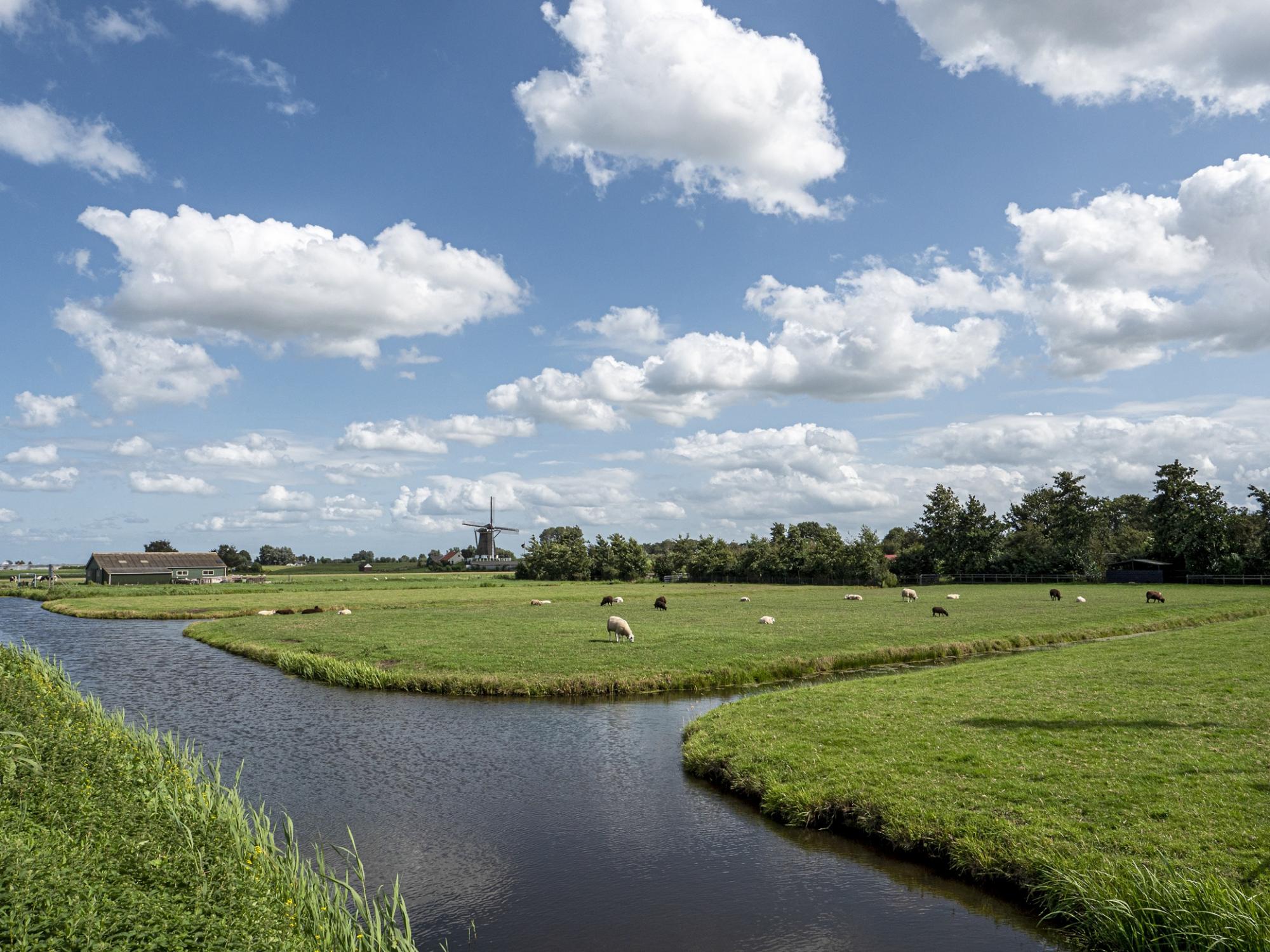 veenweide-header