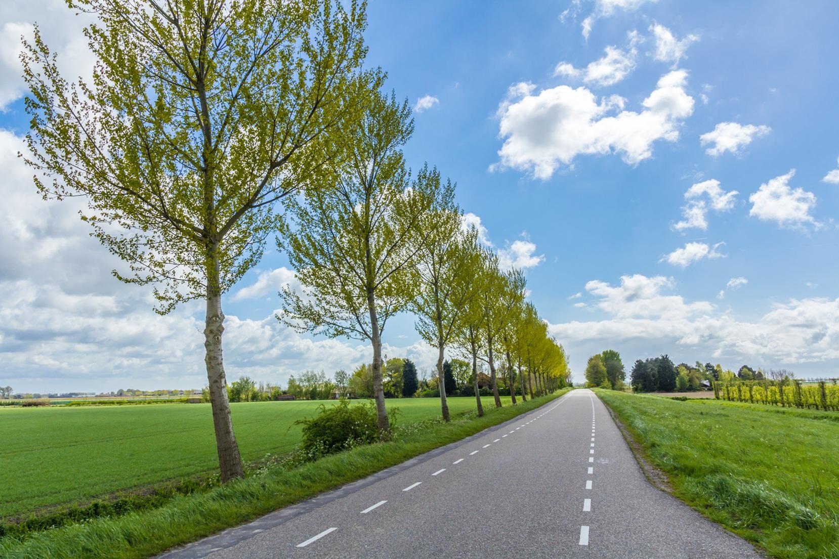 wegenbeheer