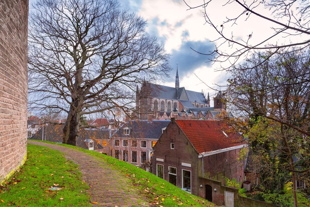 6932f37a08f3135d48b98c5f_martijns-foto